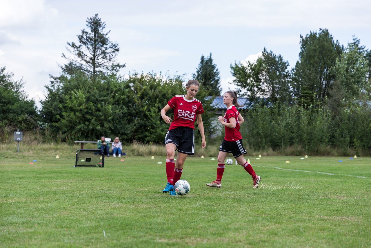 Bild 131 - Frauen SG NieBar - HSV 2 : Ergebnis: 4:3